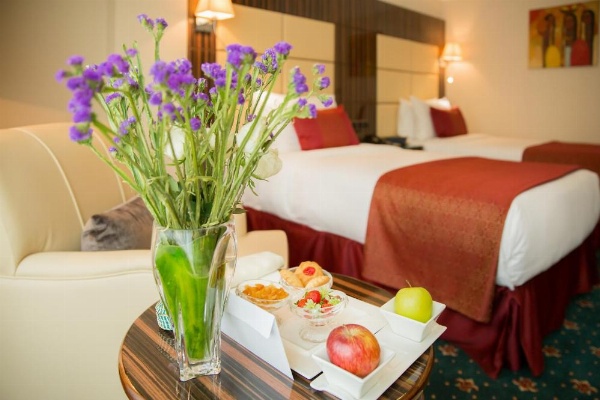 Golden Tulip Addis Ababa image 18