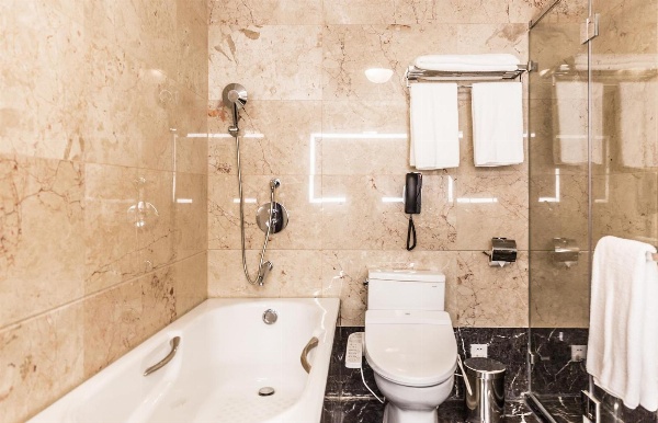 Golden Tulip Addis Ababa image 5